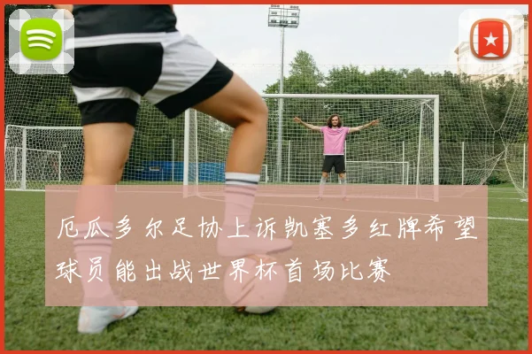 厄瓜多尔足协上诉凯塞多红牌希望球员能出战世界杯首场比赛
