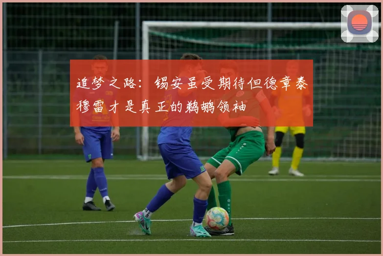 追梦之路：锡安虽受期待但德章泰穆雷才是真正的鹈鹕领袖