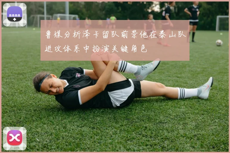 鲁媒分析泽卡留队前景他在泰山队进攻体系中扮演关键角色