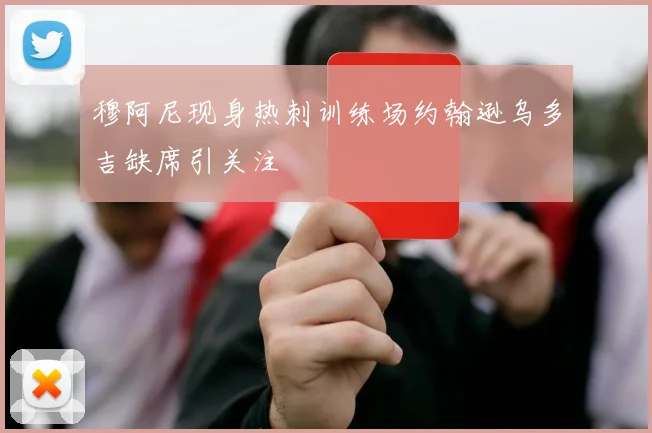穆阿尼现身热刺训练场约翰逊乌多吉缺席引关注