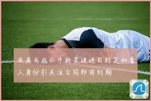 浓眉或成公牛新星追逐目标芝加哥人身份引关注合同即将到期
