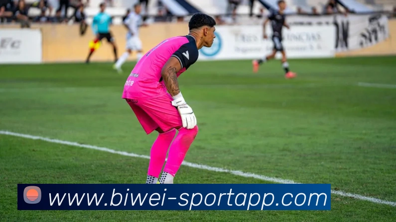 冬窗转会市场回顾各队最贵引援恩佐库蒂尼奥B费范戴克等球星汇聚